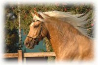 /album/fotogaleria/a6-espa-jpg/